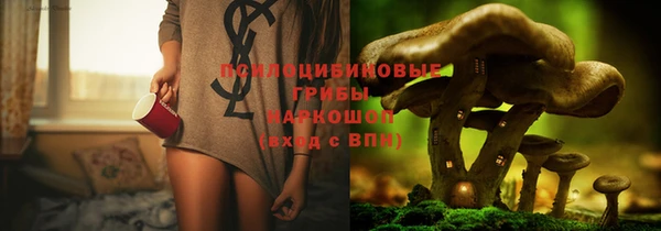 амф Арсеньев