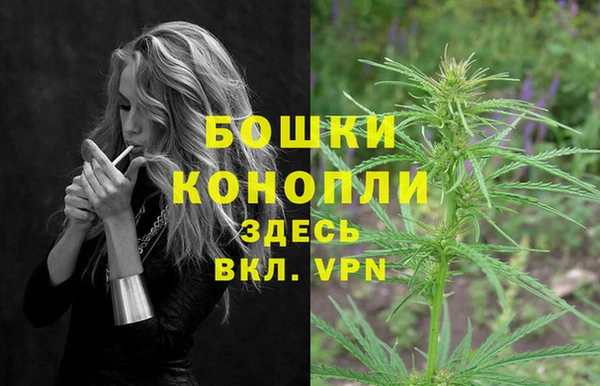амф Арсеньев
