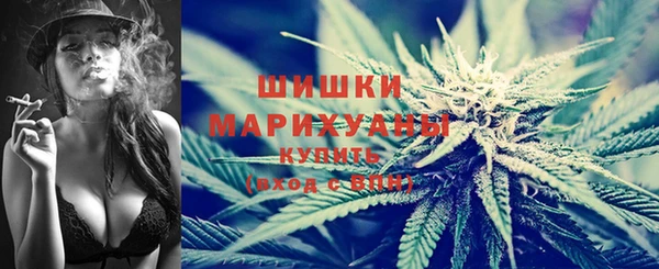 амф Арсеньев